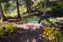 Timpooneke Campground Water Trough