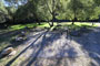 Arroyo Seco Campground 038