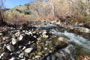 Arroyo Seco Campground Arroyo Seco River Fishing Holes