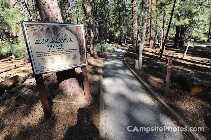 McGill Campground Exploration Trail