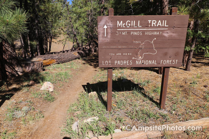 McGill Campground McGill Trailhead