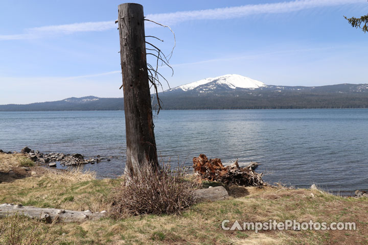 Diamond Lake View Tree