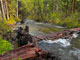 Horse Creek Campground Creek Scenic