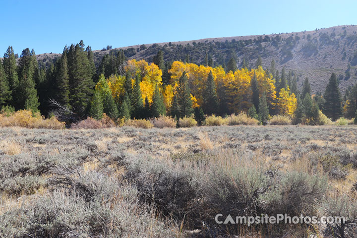 Green Creek Campground Canyon Scenic