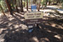 Green Creek Campground Group Sign