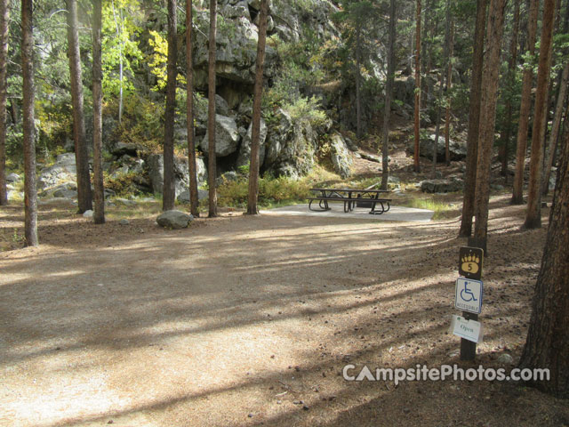 Lodgepole (Taylor River) 005