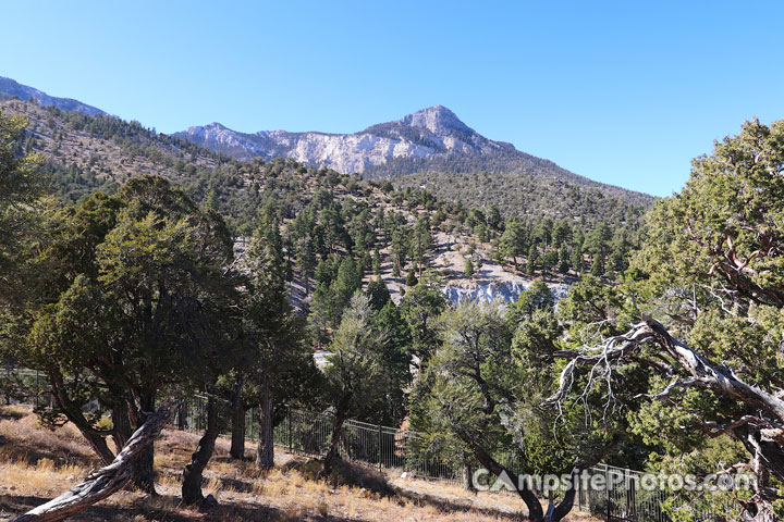 Mahogany Grove Group Campground View