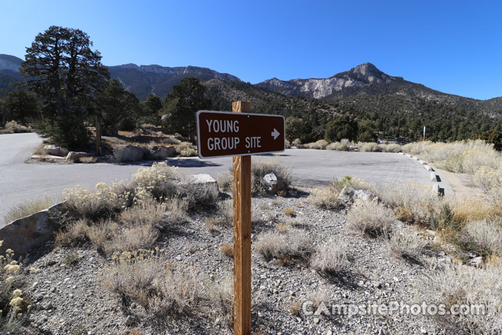 Mahogany Grove Young Group Site Sign