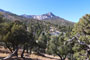 Mahogany Grove Group Campground View