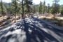 McWilliams Campground 046