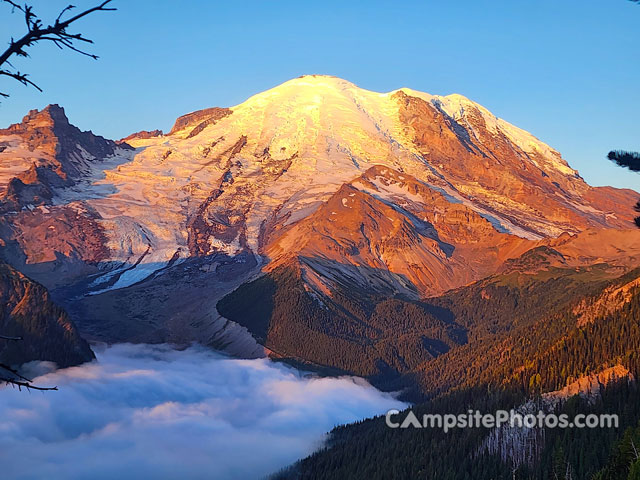 Silver Springs Campground Mount Rainer View