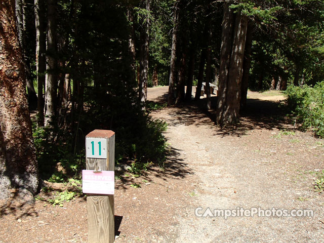 Guanella Pass Campground 011