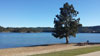 Bear Gulch Group Campground Pactola Reservoir