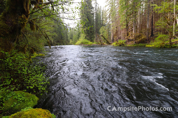 Olallie Campground McKenzie River Scenic