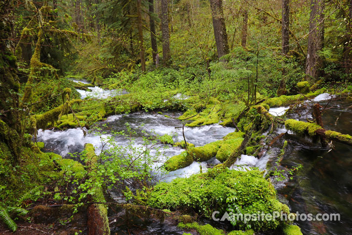 Olallie Campground Scenic