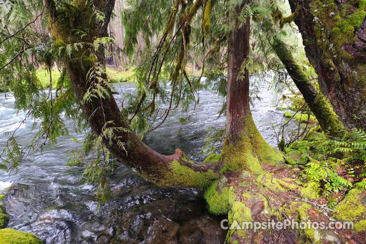 Olallie Campground Water View