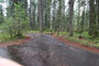 Olallie Campground 002