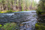 Olallie Campground McKenzie River View