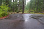 Olallie Campground Picnic Area