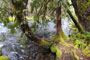 Olallie Campground Water View