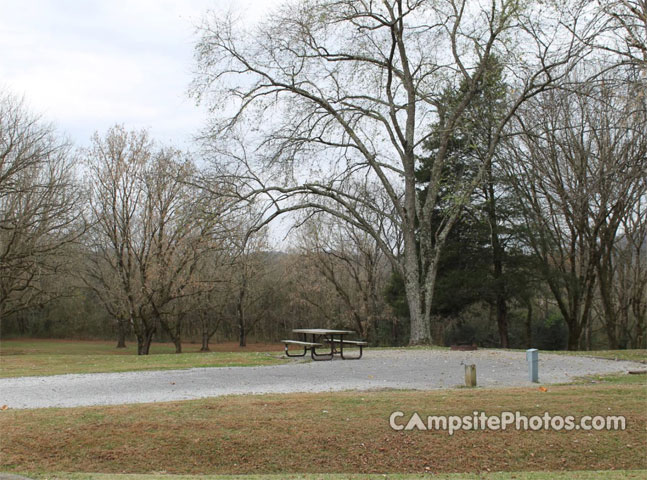 Salt Lick Creek 007