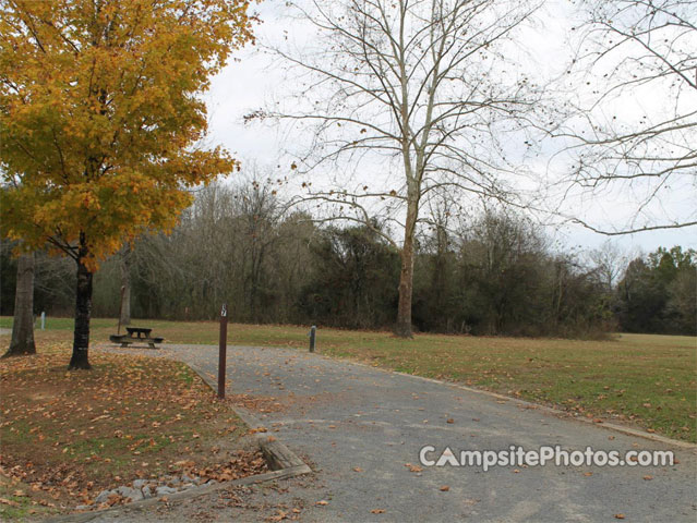 Salt Lick Creek 017