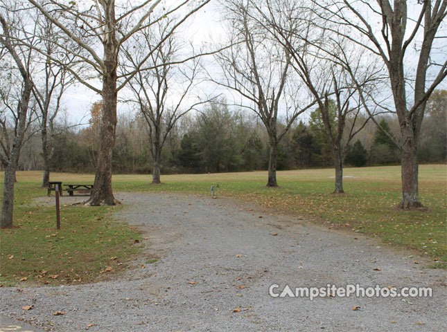 Salt Lick Creek 028