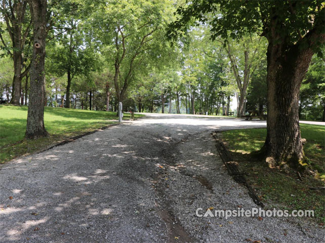 Salt Lick Creek 054