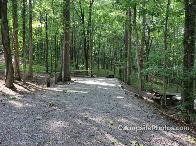 Salt Lick Creek 105