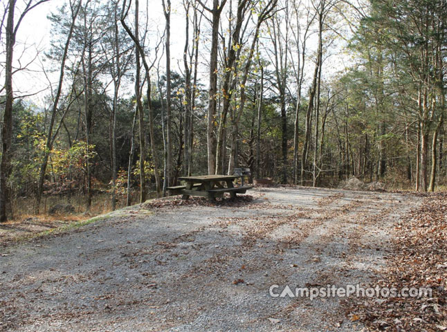 Salt Lick Creek 131