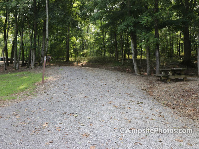 Salt Lick Creek 146