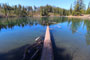 Scout Lake Campground Lake Scenic