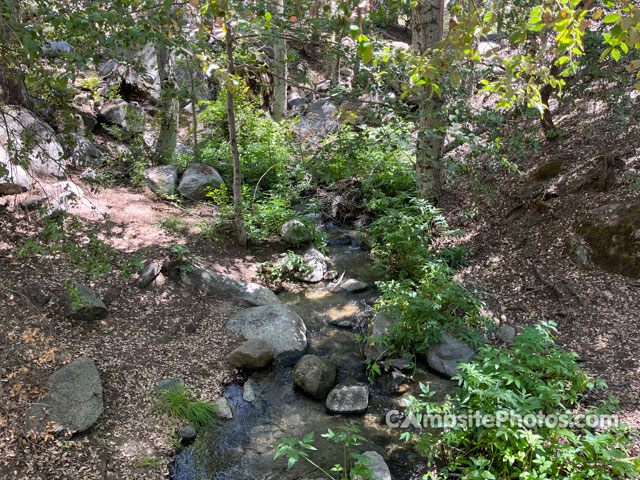 Belknap Campground Creek View