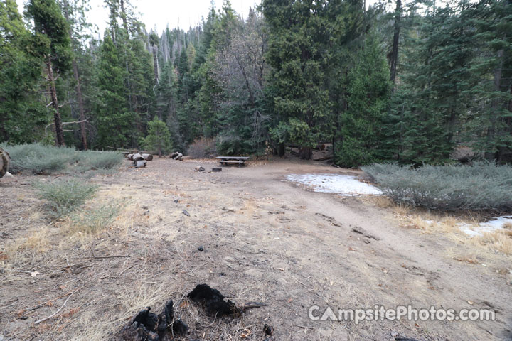 Redwood Meadow 007