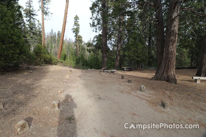 Redwood Meadow 009