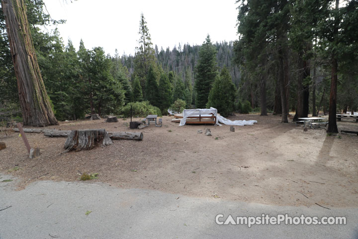 Redwood Meadow 012