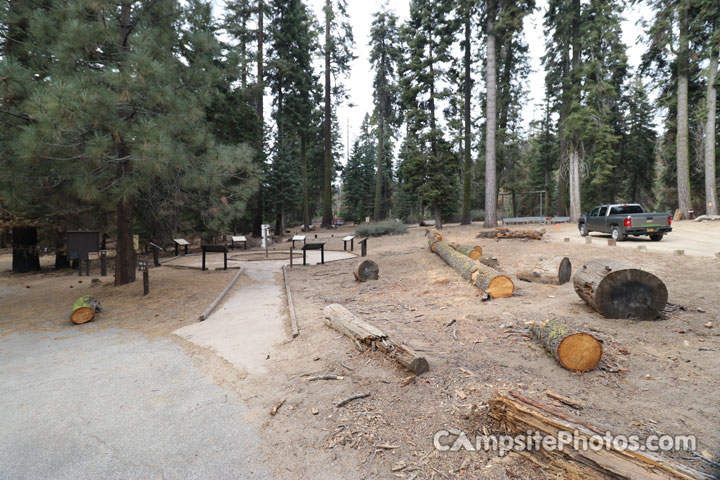 Quaking Aspen Campground View