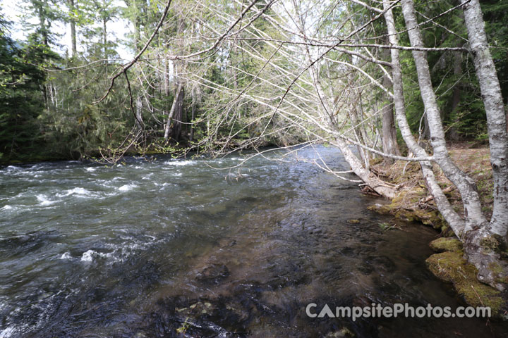 Adams Fork Cispus River View