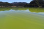 Packard Creek Campground Hills Creek Reservoir