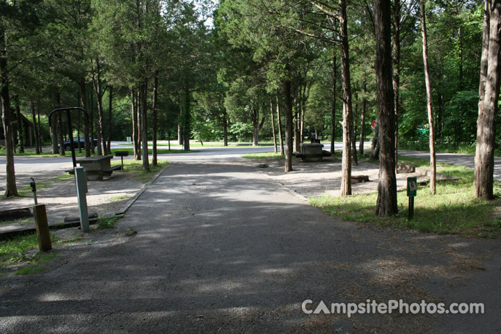 Cedars of Lebanon 025