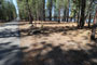 Gull Point Campground 028