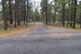 Camp Sherman Campground Entrance