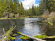 Camp Sherman Campground Metolius River Scenic