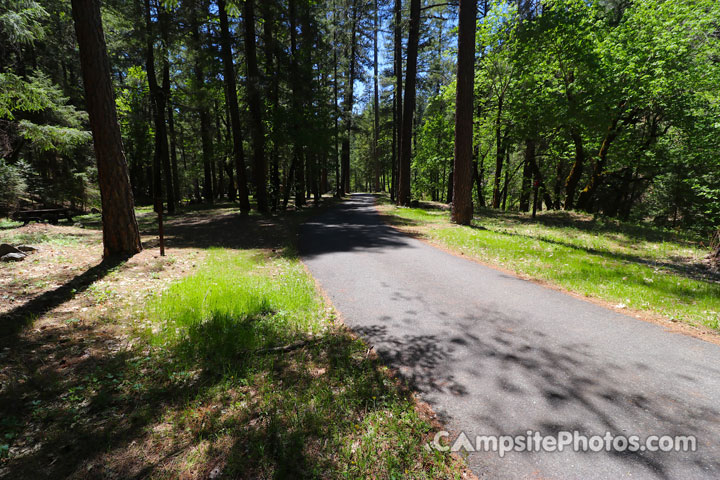 Fir Cove Campground View