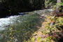 Riverside At Detriot Campground Santiam River View