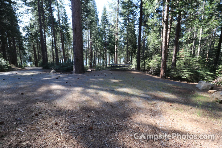 Ponderosa Cove Group Camping Area 5