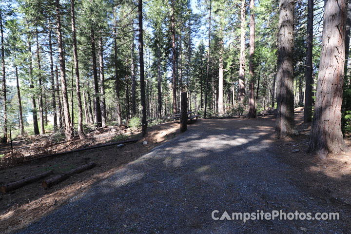 Ponderosa Cove Group Camping Area 7