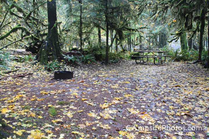 House Rock Campground 013 Camping Area