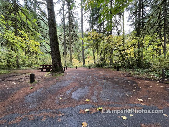 Trout Creek Campground 007