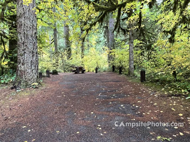 Trout Creek Campground 009